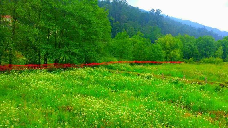 13227149_1200079610025531_6580204855464491089_n